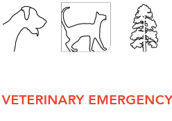 NorCalVet