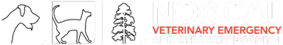 Nor Cal Veterinary Emergency and Specialty Hospital