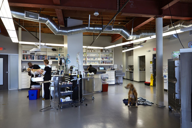 NorCalVet Hospital Tour-Examining-Room-01