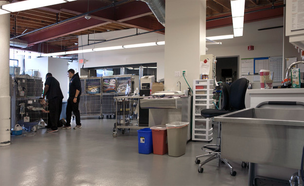 NorCalVet Hospital Tour-Examining-Room-02