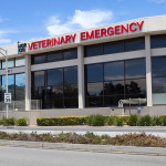 NorCalVet Hospital Tour-Exterior-02
