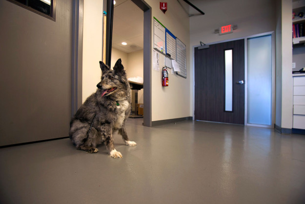 NorCalVet Hospital Tour-Hallway
