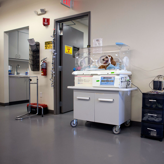 NorCalVet Hospital Tour-Incubator