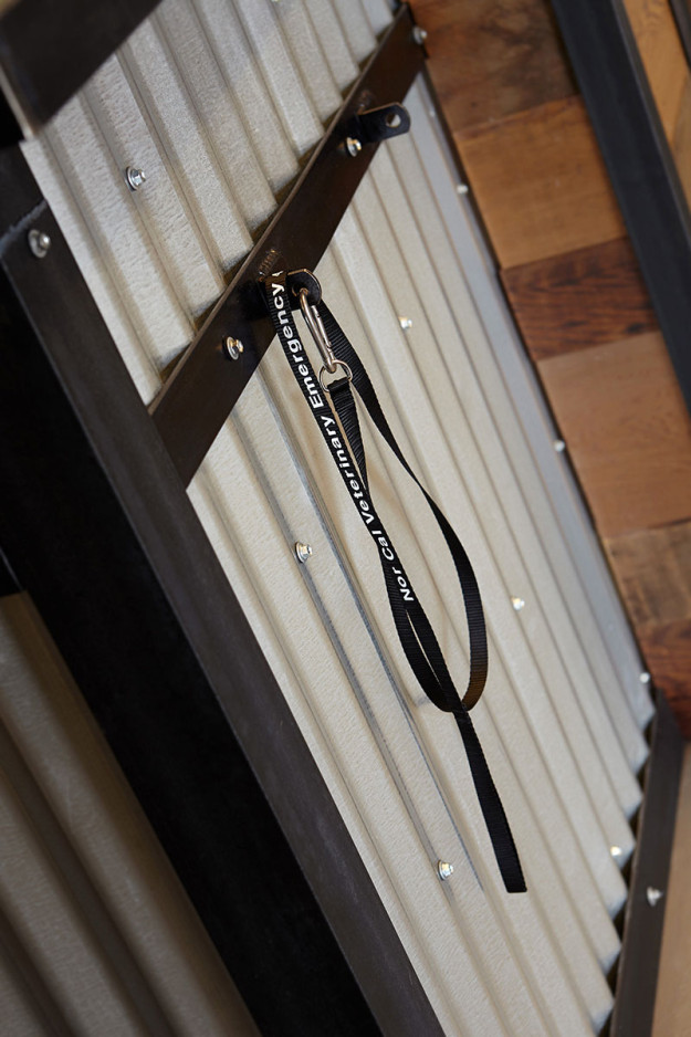 NorCalVet Hospital Tour-Leash