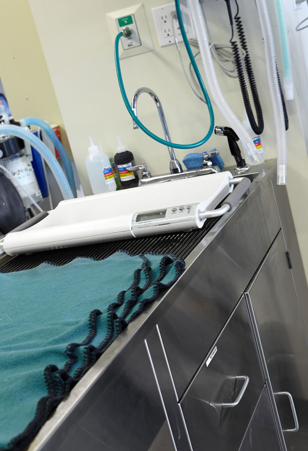 NorCalVet Hospital Tour-Scale